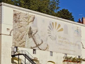 Museu de História Natural de Sintra